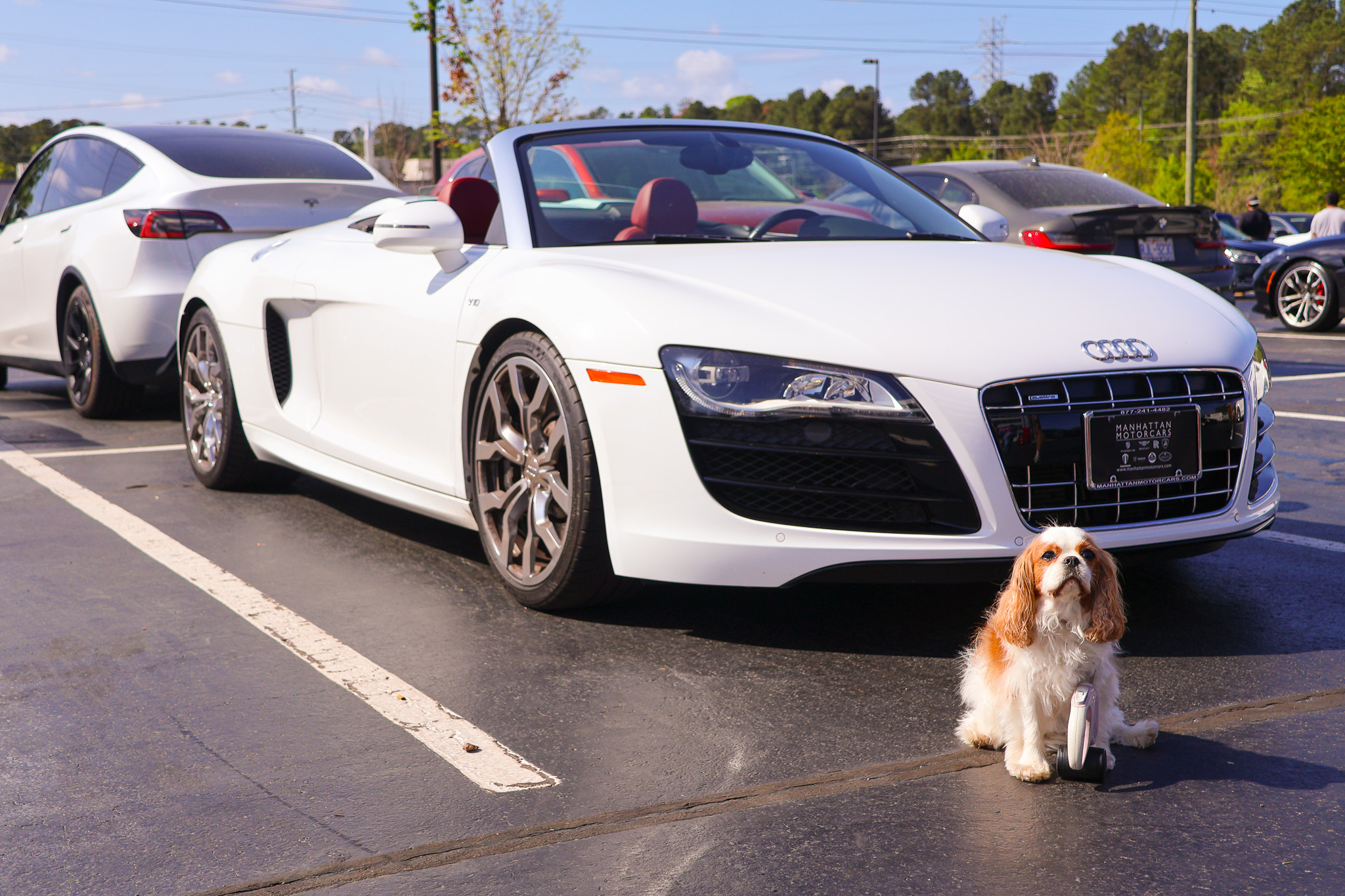 White Audi R8 V10 Spyder front view at Cars and Coffee meet