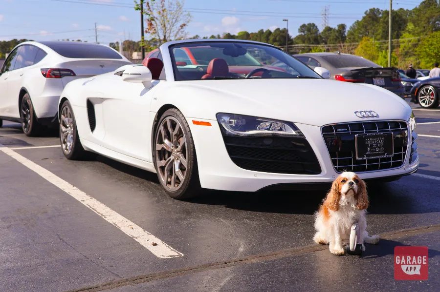 Audi R8 supercar featured at a local Cars and Coffee event, highlighting its mid-engine design and timeless styling.