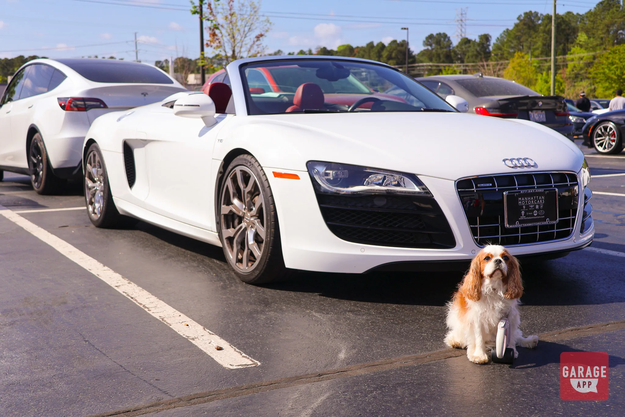 Welcome to the GarageApp Blog: Your Gearhead Guide