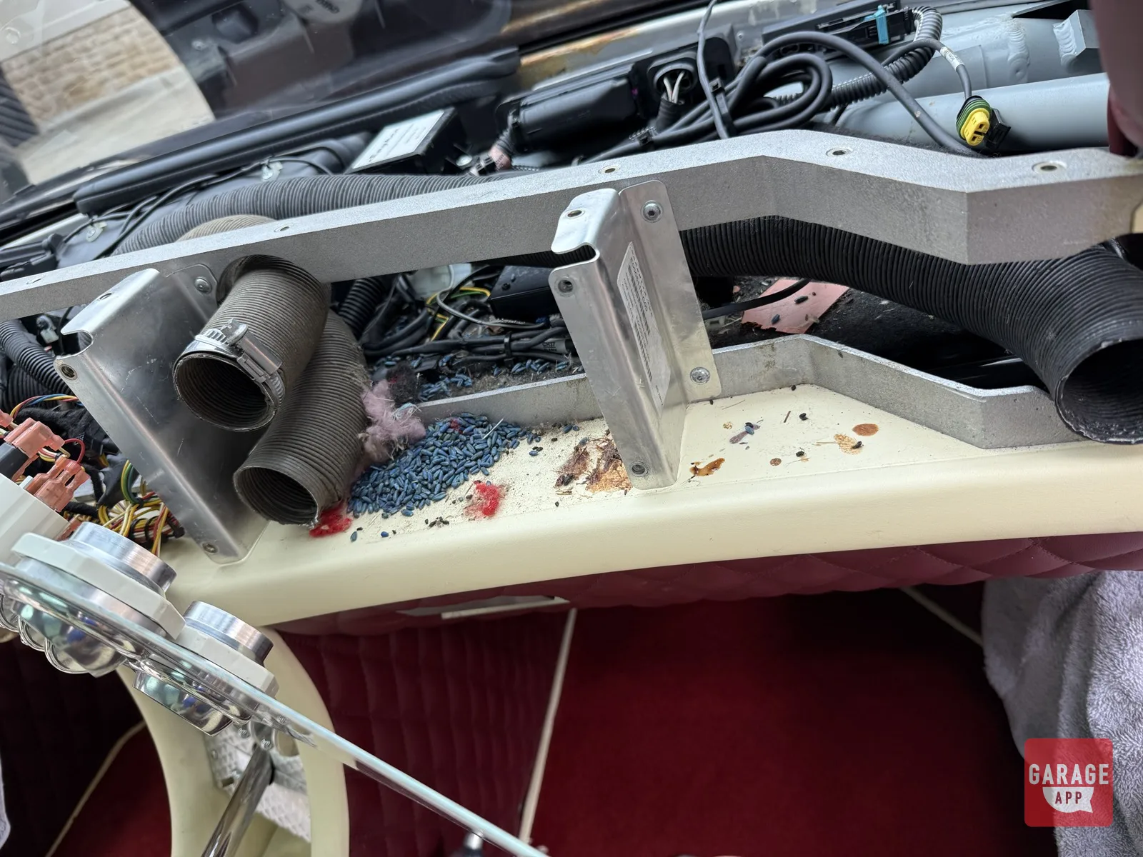 Poison bait under the dashboard