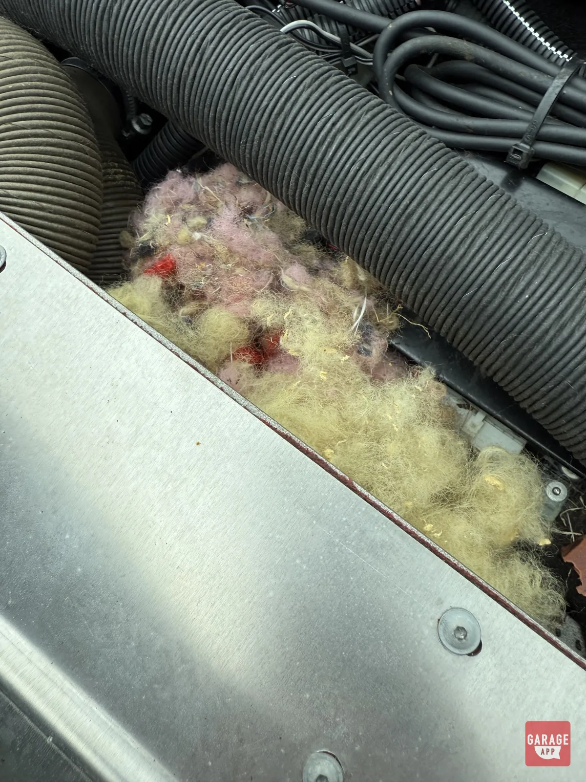 Mouse nest found under dashboard cover