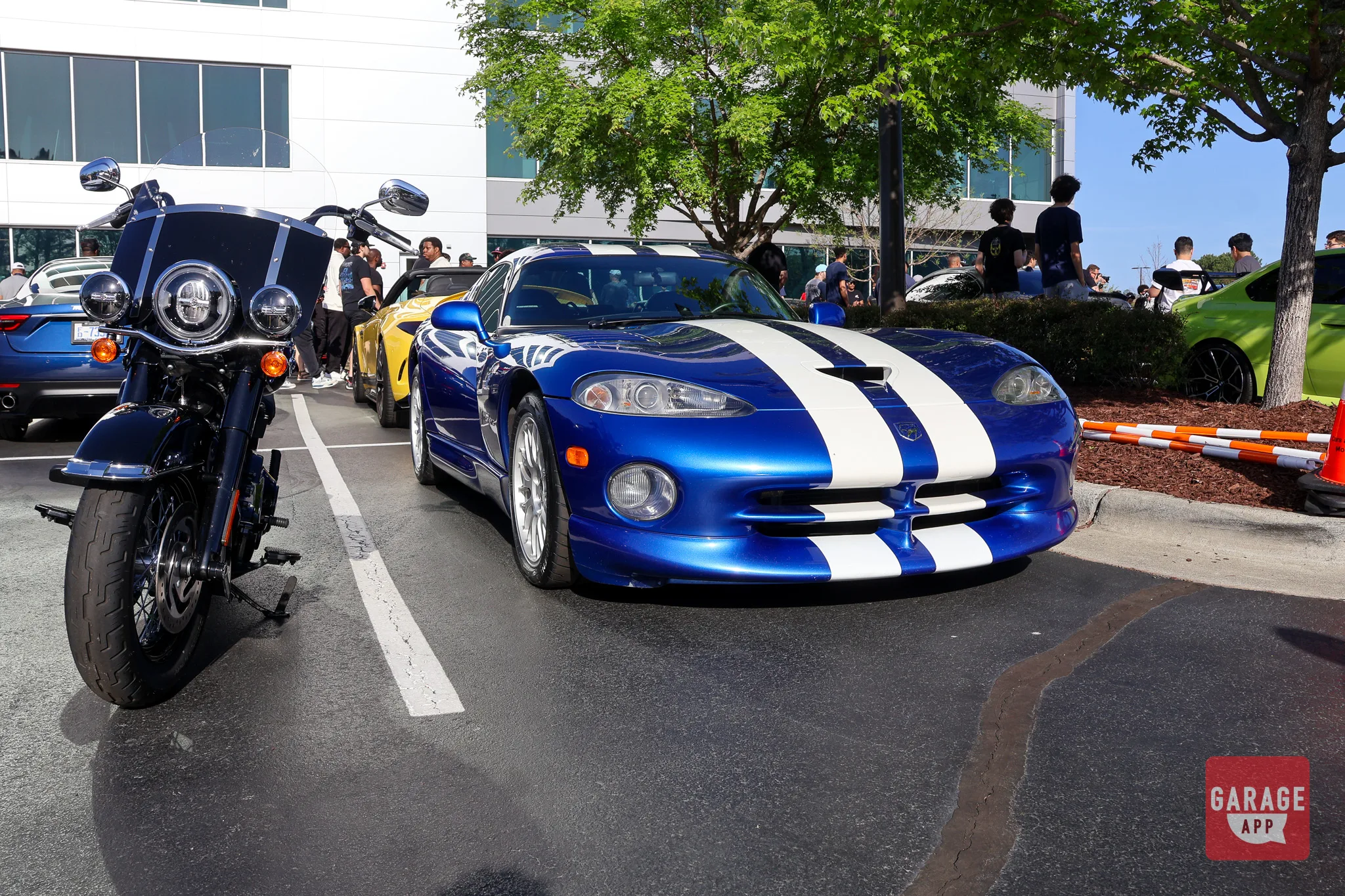 Starting a Collection: Cars, Motorcycles, or Both